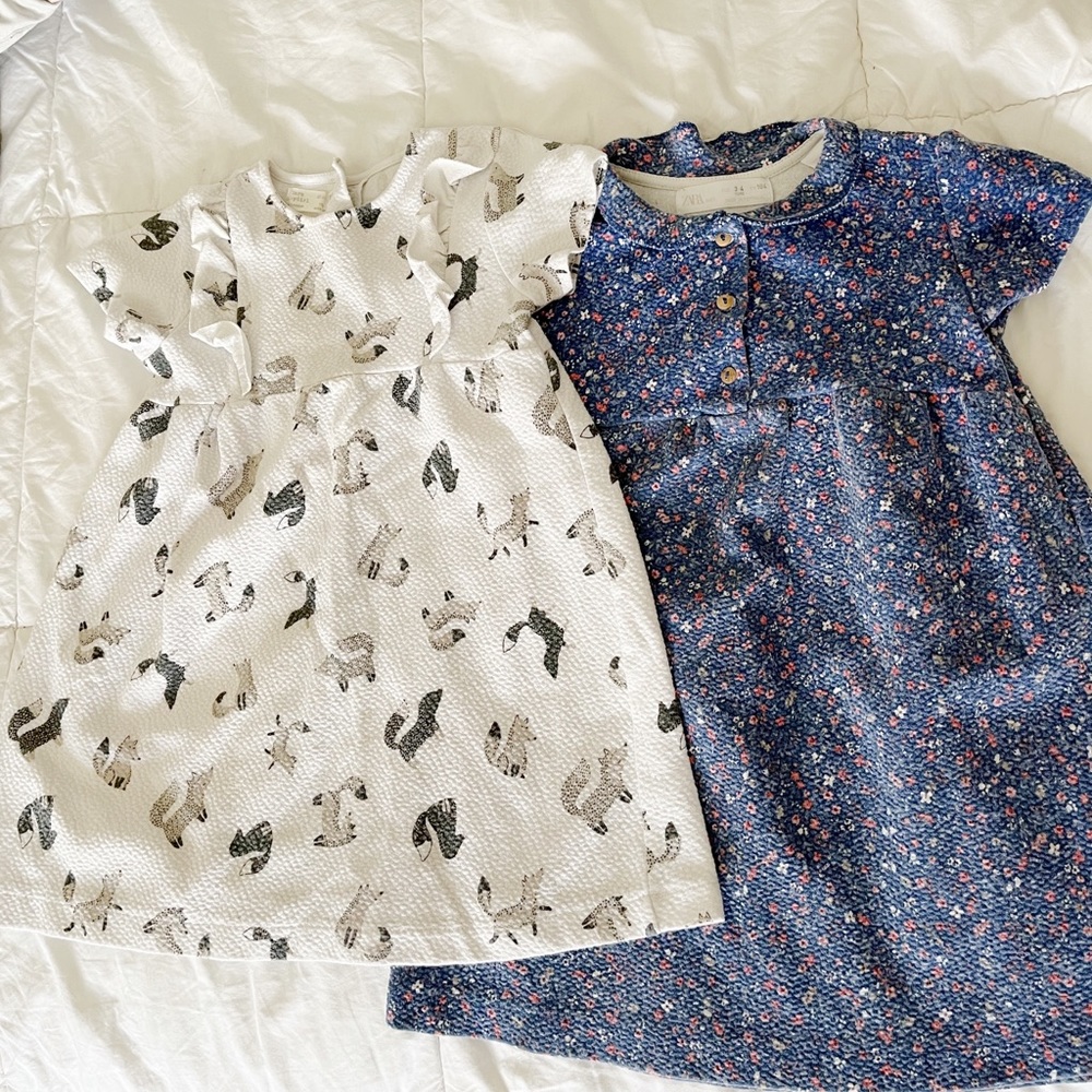 Zara toddler dresses 3-4